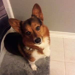 Meet your Posher, Jaclyn